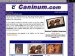 tarjetas.caninum.com - Tarjetas y Postales motivadoras con motivos de perros y mascotas.